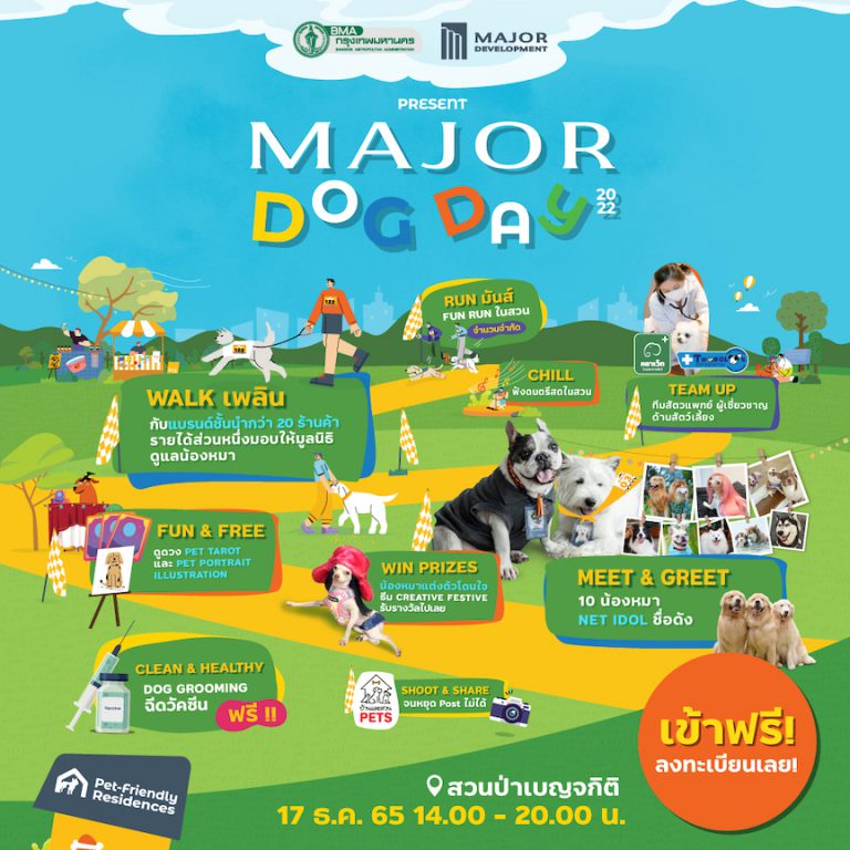 01.MAJOR-DOGDAY